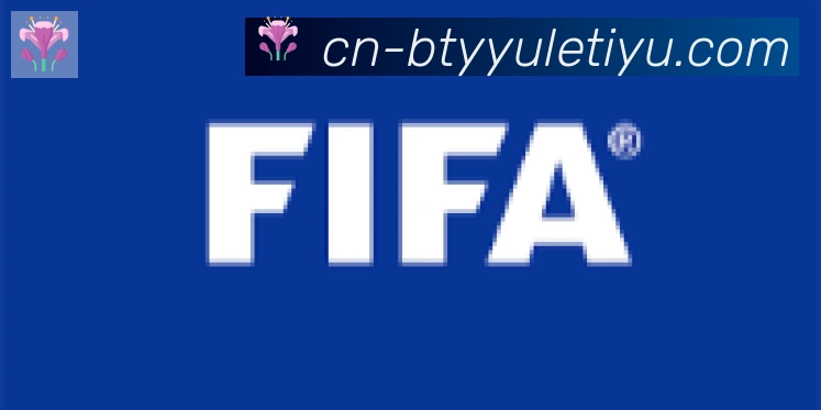 B体育官网合作伙伴
